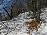 Cerkno - Škofje